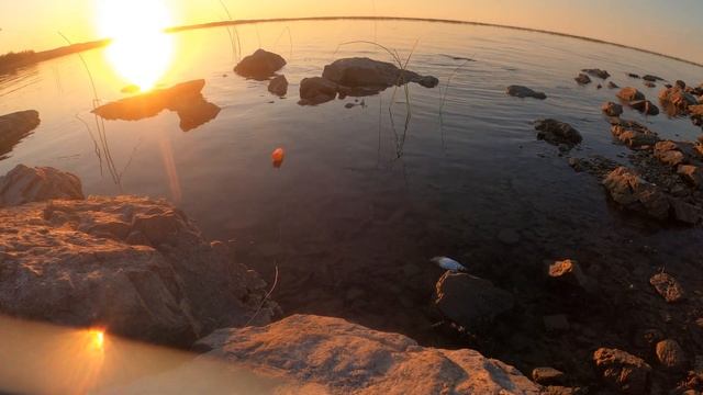 Рыбалка на Балхаше, 13.09.21 район Шыганак, зона отдыха Байтал смотреть онлайн