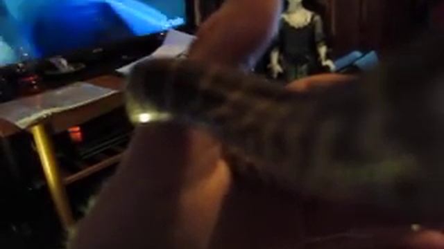 Monty baby carpet python wanted to come out смотреть онлайн