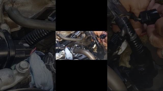 honda odyssey P3497 how to fix it. the only way! bank 2. смотреть онлайн