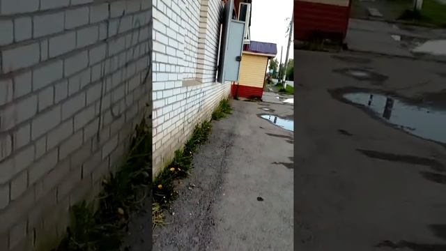 Неодыкват зади ходит смотреть онлайн