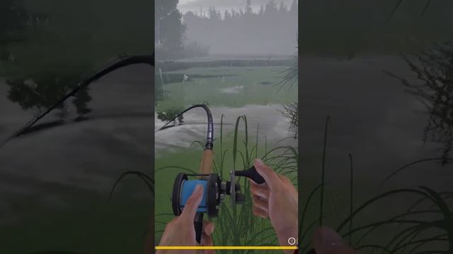 #рр4 #russianfishing4 #rf4 #игра #русскаярыбалка4стрим #русскаярыбалка4 #симуляторрыбалки смотреть онлайн