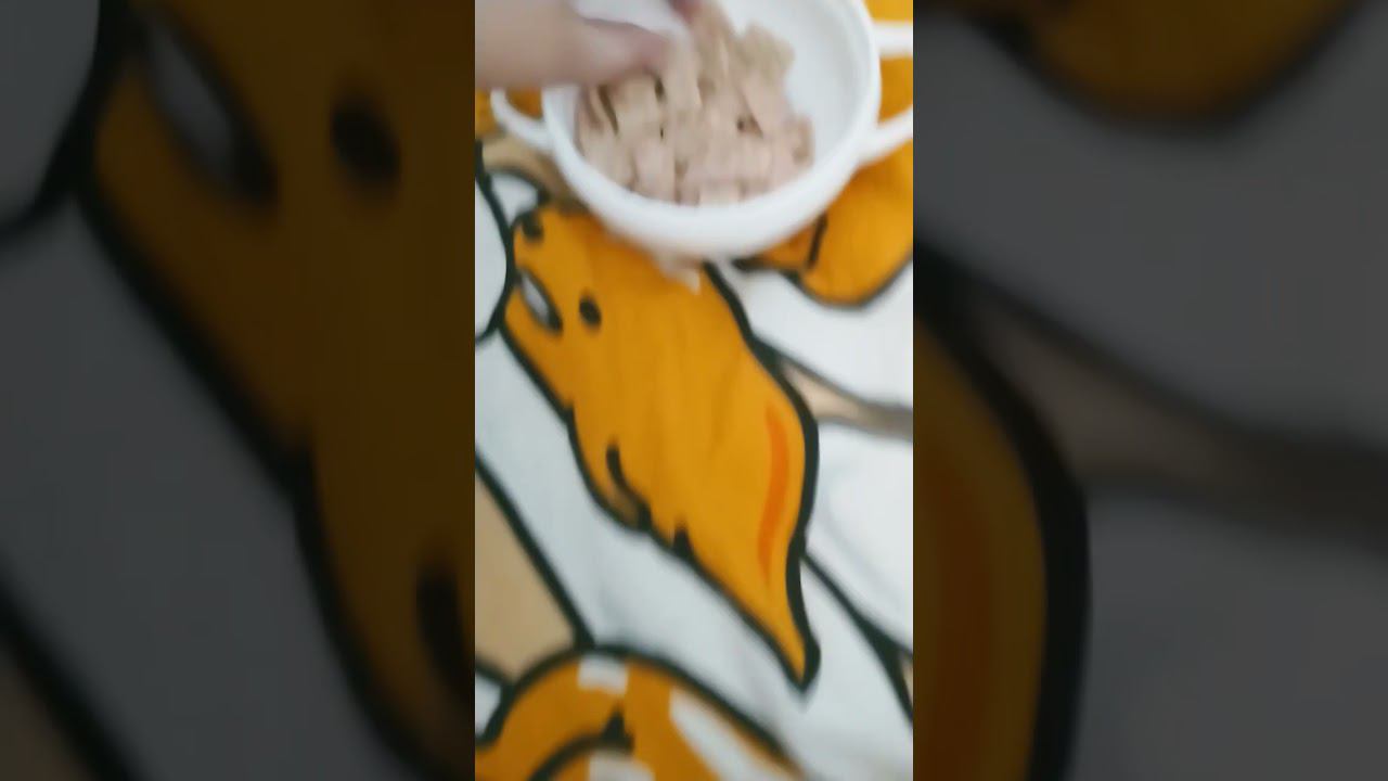 7 апреля 2024 г.