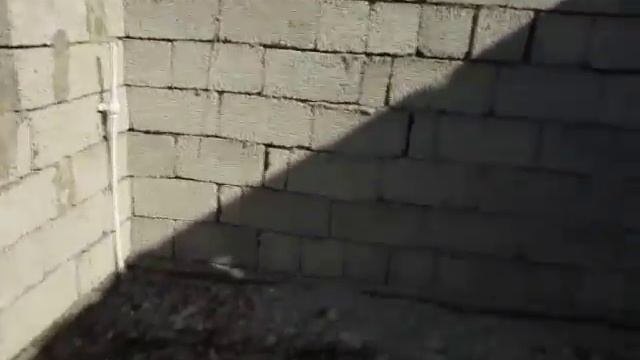 Терешковой Никита