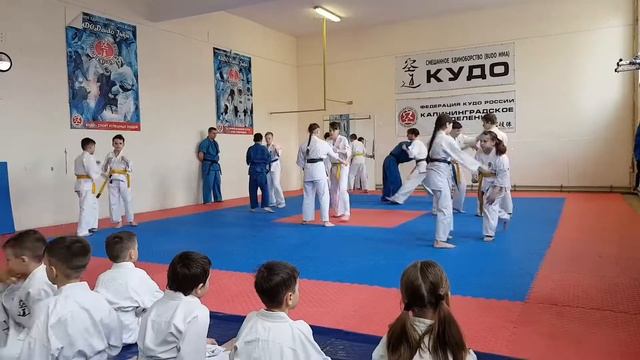 Весенняя аттестация КУДО (Калининград, 11.04.2021) смотреть онлайн