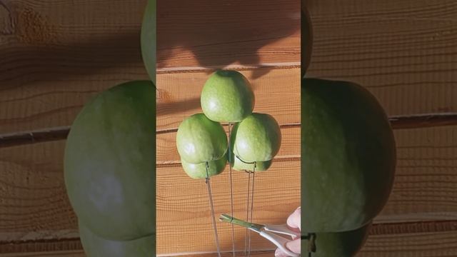 Не забывай ? смотреть онлайн