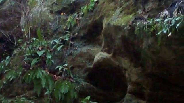 Водопад на Мальцевом ручье 27.11.2010 г. смотреть онлайн