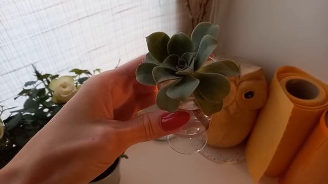 VLOG/ ЖУТКОЕ ДТП / МОШЕННИКИ/ АБОНЕМЕНТ В ЗАЛ / ПОКУПКИ ДЛЯ ДОМА/ ЛЕРУА / ЛЕНТА / ЭПИЛЯЦИЯ смотреть онлайн