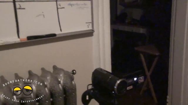 Sony Handycam HDR-Pj260V With Projector Review