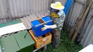 Сборные отводки по совету Кашковского В Г