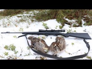 ОХОТА. РЯБЧИКИ С ПОДХОДА, МЕЛКАШКА CZ 455