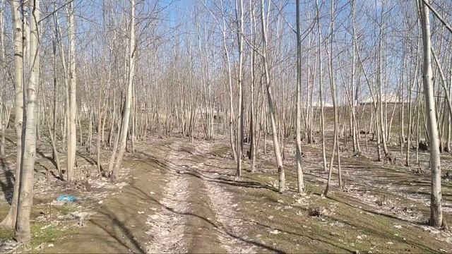 19-ФЕВРАЛ БУГУНДАН ОБ-ХАВО КЕСКИН ЎЗГАРАДИ КЕЧ БУЛМАСДАН ТАЙОР ТУРУНГ ХАЛҚ ОГОХ БЎЛИНГ смотреть онлайн