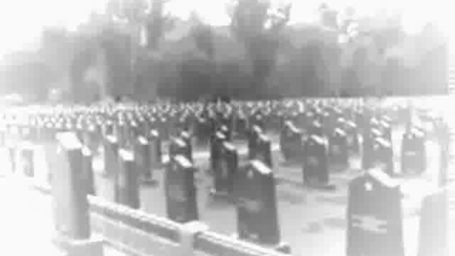 Нам не надо наград.. смотреть онлайн