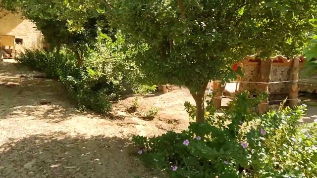 Сива. Египет. Честный обзор.Экскурсия на тук-туке. Соленые озера и бассейн Клеопатры. Путешествие. смотреть онлайн