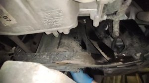 Замена масла и фильтра Форд Куга 2