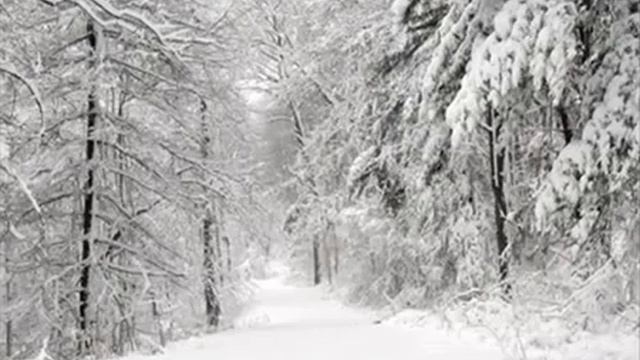 Н Караченцов - Кленовый лист смотреть онлайн