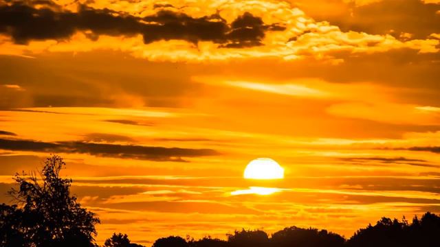 HAPPY Music Good Morning Ukulele Music The Best SUMMER Music смотреть онлайн