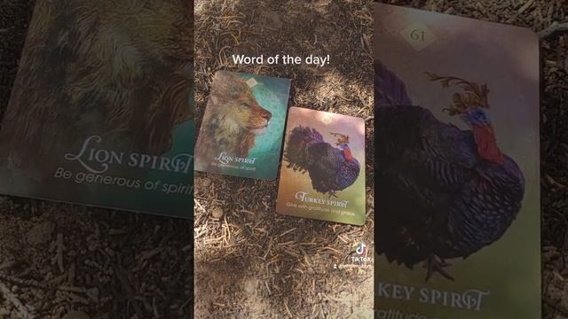 Full Moon word of the day! #oracle #tarot #generalreading #oraclereading #wicca #pagan #witch смотреть онлайн