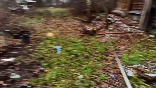 Помощь подоспела вовремя,сажаю иргу канадскую смотреть онлайн