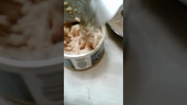 Типо икра судака смотреть онлайн