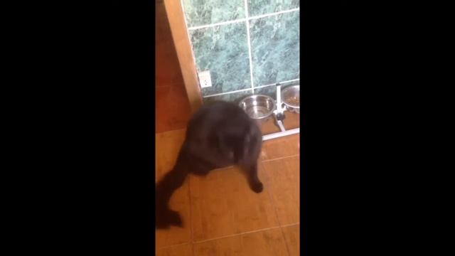 Мэйн Кун и вода смотреть онлайн