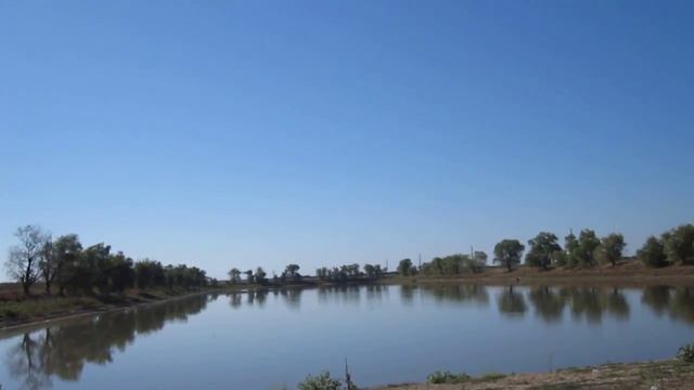 Как помочь ребёнку сохранить желание учиться? Наталья Яровая смотреть онлайн