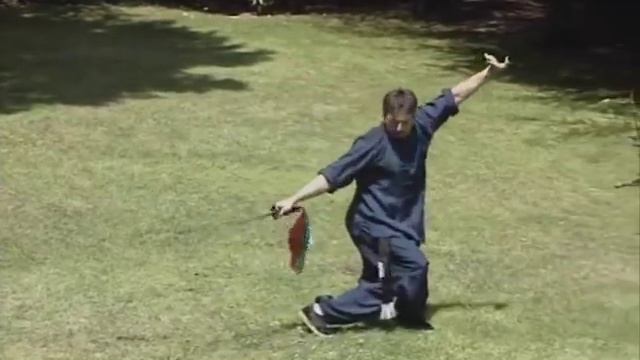 Чой Ли Фут - Кунг-фу доктора Вонга смотреть онлайн