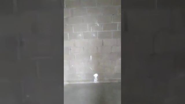 WhatsApp Video 2020 12 08 at 11 16 42 1 смотреть онлайн
