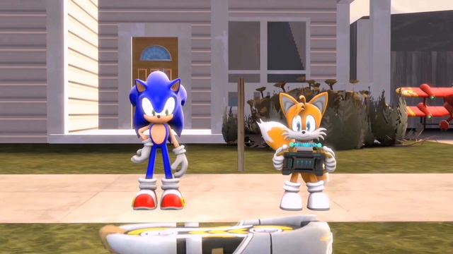 Проект Тейлза