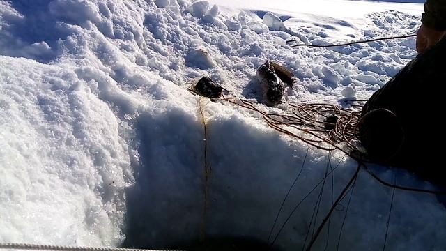 Рыбалка на перемет смотреть онлайн