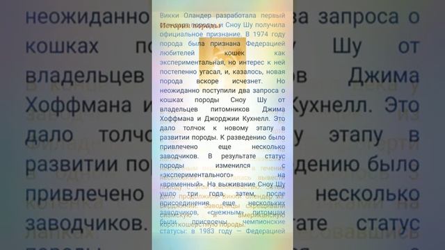 Немного о породе Snow Shu смотреть онлайн