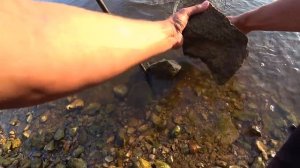 Рыбалка на донки с берега 2021! Ловля ЛЕЩА на Оке? Микроджиг на Оке 2021!