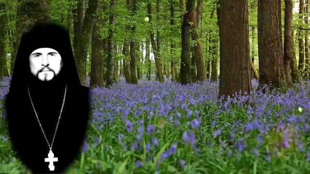 Иеромонах Василий Росляков Последнее интервью