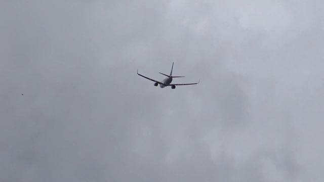 (4K) Early Afternoon Rush at Atlanta Hartsfield International Airport смотреть онлайн