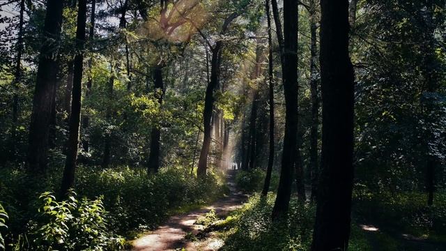 Johann Strauss (Иоганн Штраус) смотреть онлайн