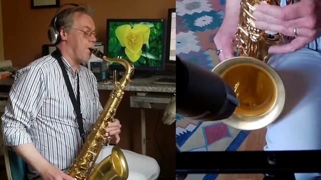 Sequoia Lemon tenor sax - You're The Best Thing That Ever Happened To Me - Vandoren Jumbo Java T97 смотреть онлайн