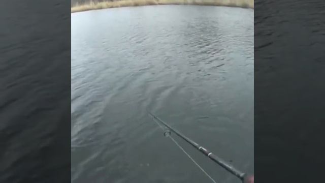 Март. Рыбалка в Ростовской области. смотреть онлайн