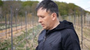 Особенности грунта для выращивания винограда. Выпуск №1