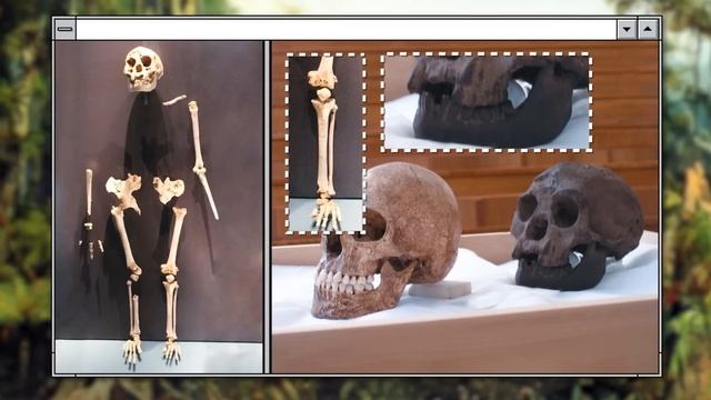 Proof That Cleopatra Was Never Beautiful. Artifact That Could Change History смотреть онлайн
