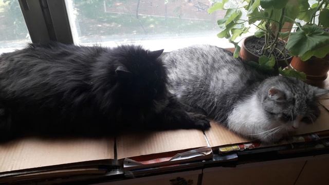 Полезные советы!!!