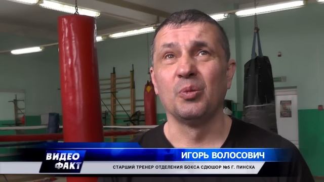 Пинчане стали призерами чемпионата Беларуси по боксу смотреть онлайн
