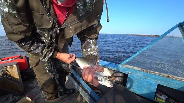 СПОЙМАЛ СИГОВ И КАМБАЛЫ! МОЙ ЧЕРВЯК САМЫЙ СЛАДКИЙ! смотреть онлайн