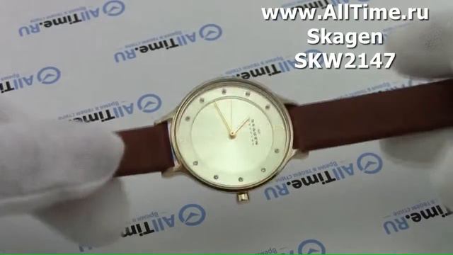Обзор. Женские наручные часы Skagen SKW2147 смотреть онлайн