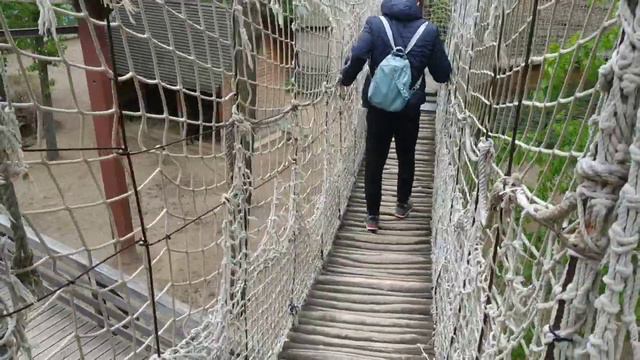 Крупнейший зоопарк Европы в Венгрии(28) смотреть онлайн