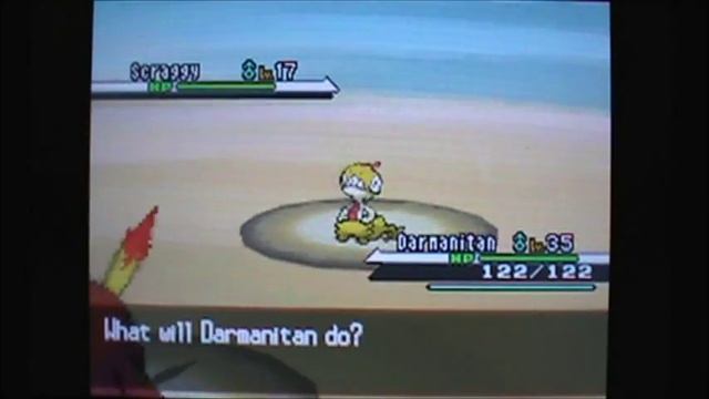 Pokemon Black/White - How to catch a Scraggy смотреть онлайн