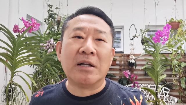 SE VOCÊ TEM PRESSÃO BAIXA E JÁ DESMAIOU VEJA ESSE VÍDEO | Peter Liu смотреть онлайн