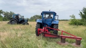 Сенокос 2023 начало