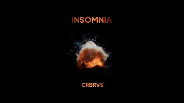 CRBRVS - Insomnia (2023r)