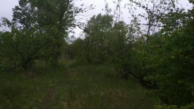 #По тропинке к реке Припять# смотреть онлайн