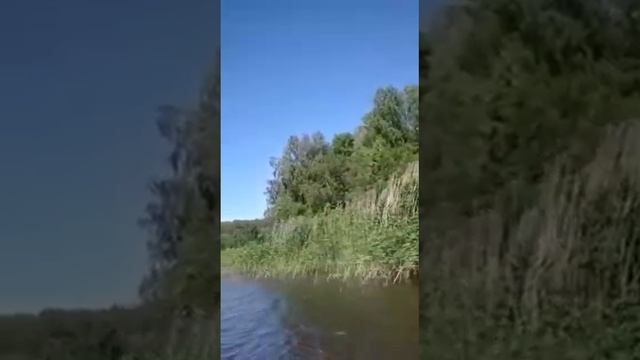 чамшед и зоиршо дар Московская область г Пушкино в водохранилище отдыхают смотреть онлайн