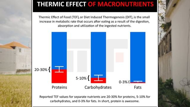 СТРОЙНЫЕ НОГИ, БЕДРА КАК У МОДЕЛИ - ЭТО РЕАЛЬНО? смотреть онлайн